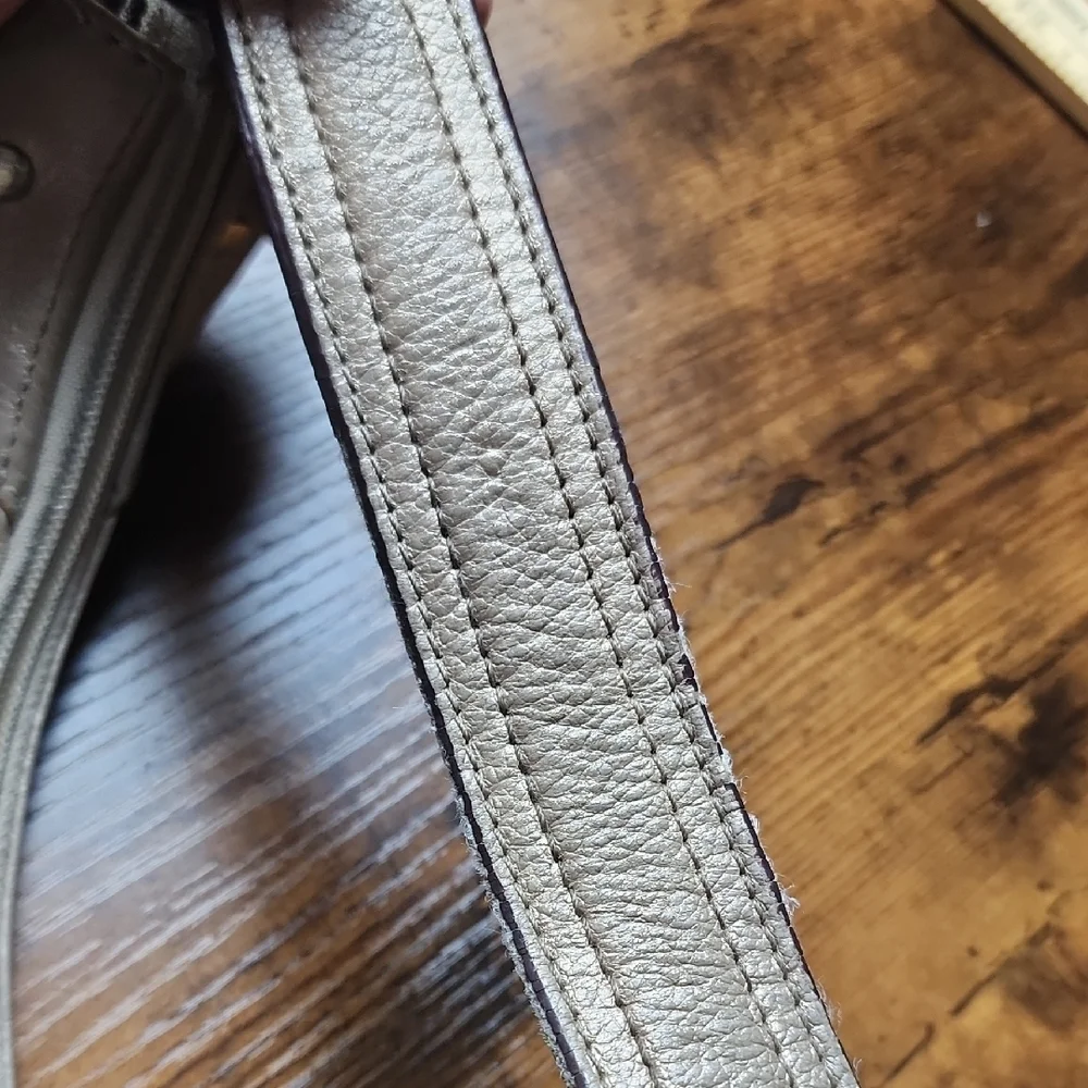TIGNANELLO‎ | Taupe Metallic Leather Hobo Bag With Cutout Accents And Pockets